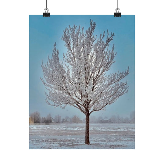 Serene Winter Tree Satin Poster - 210gsm Art Print for Home Decor
